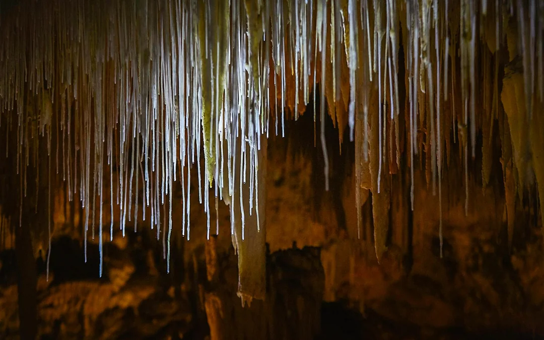 Margaret River: Lake Cave Guided Tour Image 2