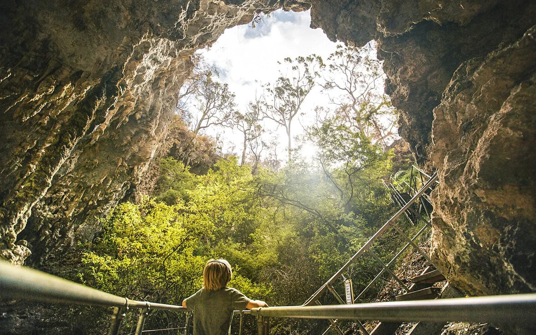 Margaret River: Mammoth Cave Self-Guided Audio Tour Image 3
