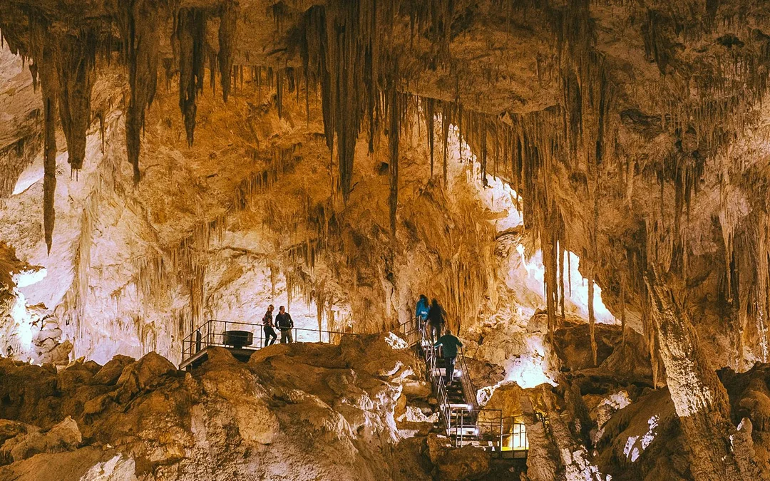 Margaret River: Mammoth Cave Self-Guided Audio Tour Image 5
