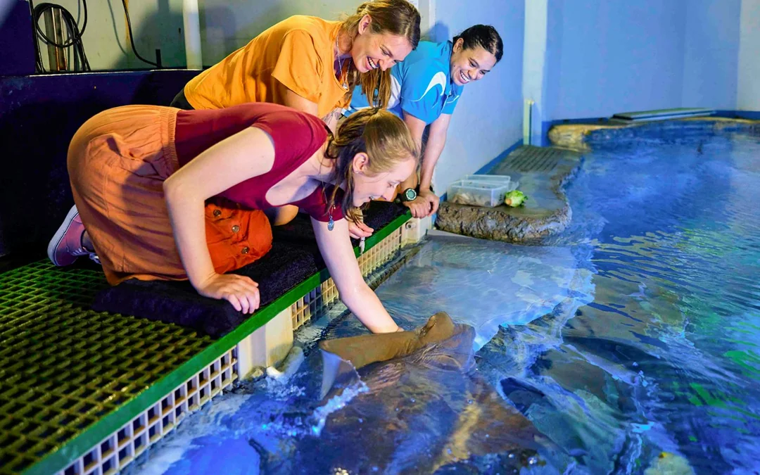 Marine Life Encounter at Cairns Aquarium Image 1
