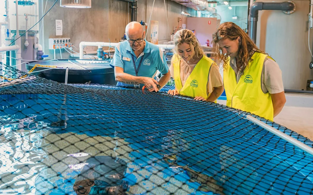 Marine Life Encounter at Cairns Aquarium Image 4