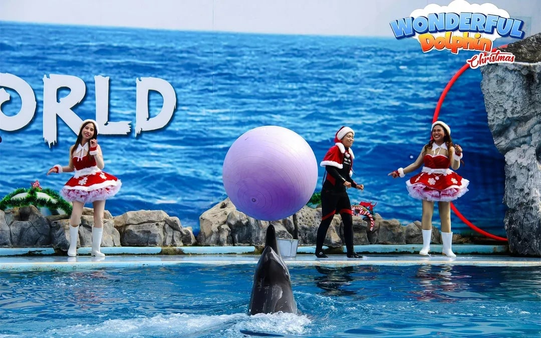 Marine Park Tickets with Optional Lunch Image 2