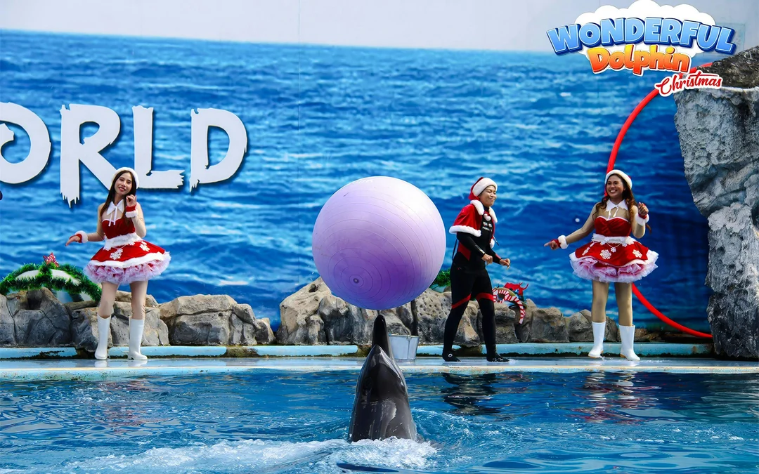 Marine Park Tickets with Optional Lunch Image 2