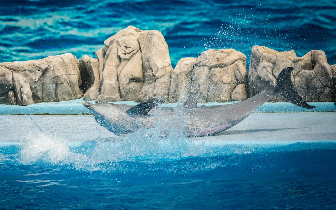 Marine Park Tickets with Optional Lunch Image 3