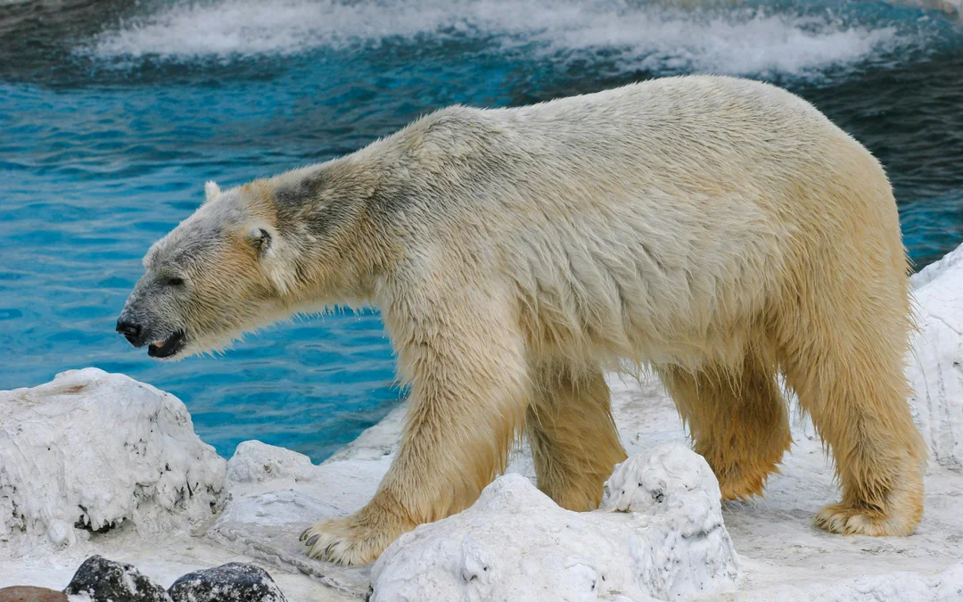 Marine Park Tickets with Optional Lunch Image 4