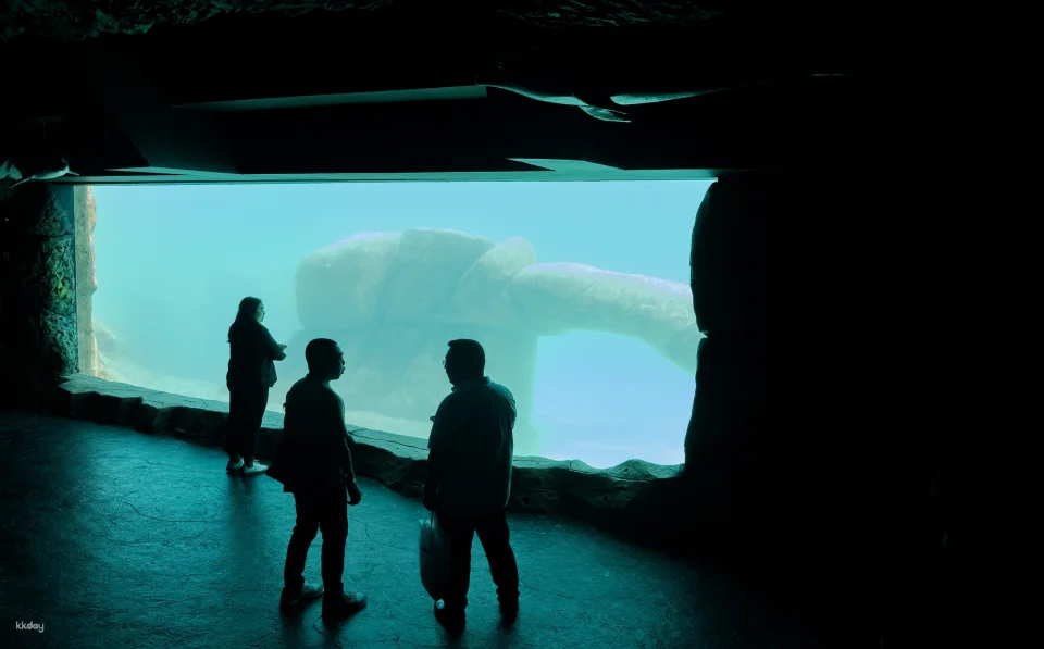 Marine Safari Bali (Oversea) in Bali | Indonesia