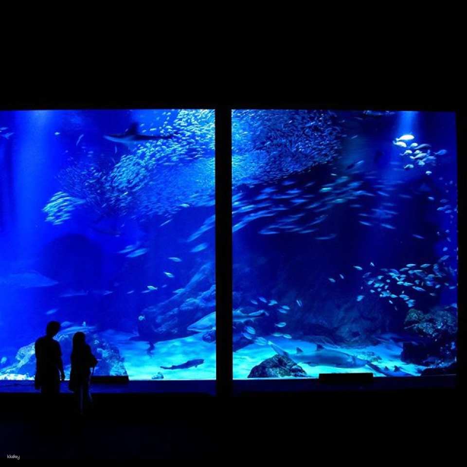 Marine World Uminonakamichi Aquarium Ticket | Fukuoka