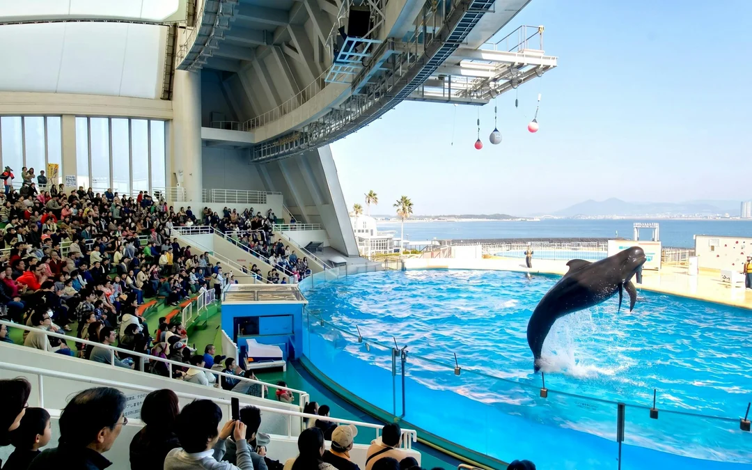 Marine World Uminonakamichi Tickets Image 2