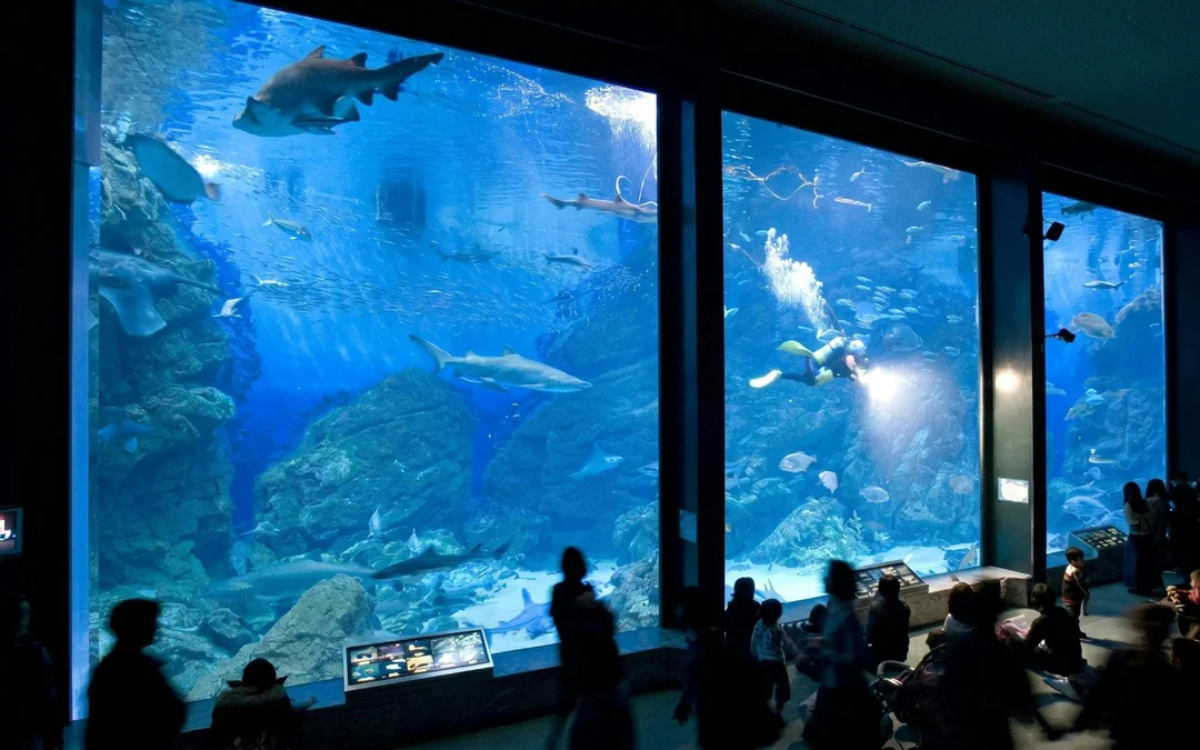 Marine World Uminonakamichi Tickets Image 5