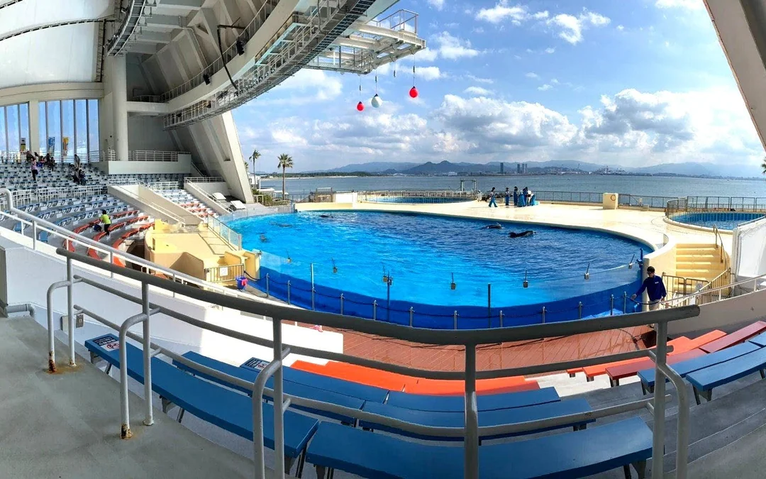 Marine World Uminonakamichi Tickets Image 10