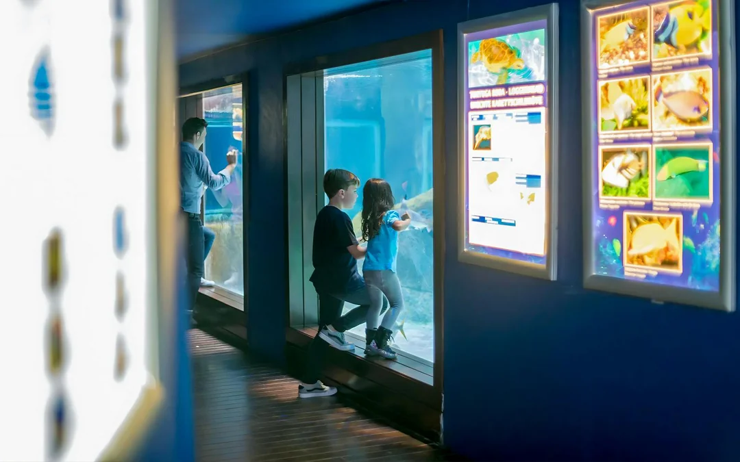 Marineland Mallorca Entry Tickets Image 2