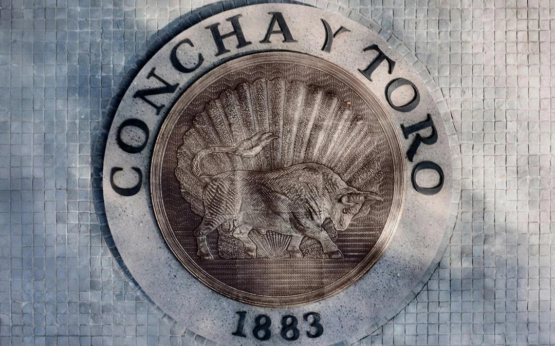 Marqués de Casa Concha: Wine Tasting at Concha y Toro Image 12