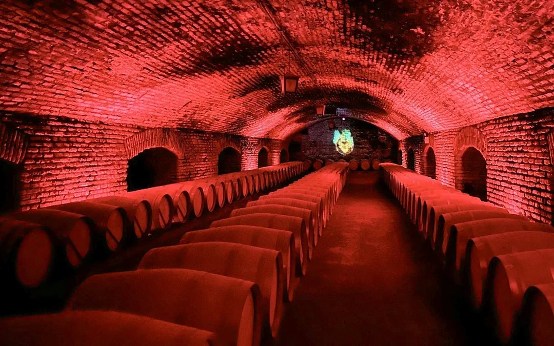 Marqués de Casa Concha: Wine Tasting at Concha y Toro Image 3