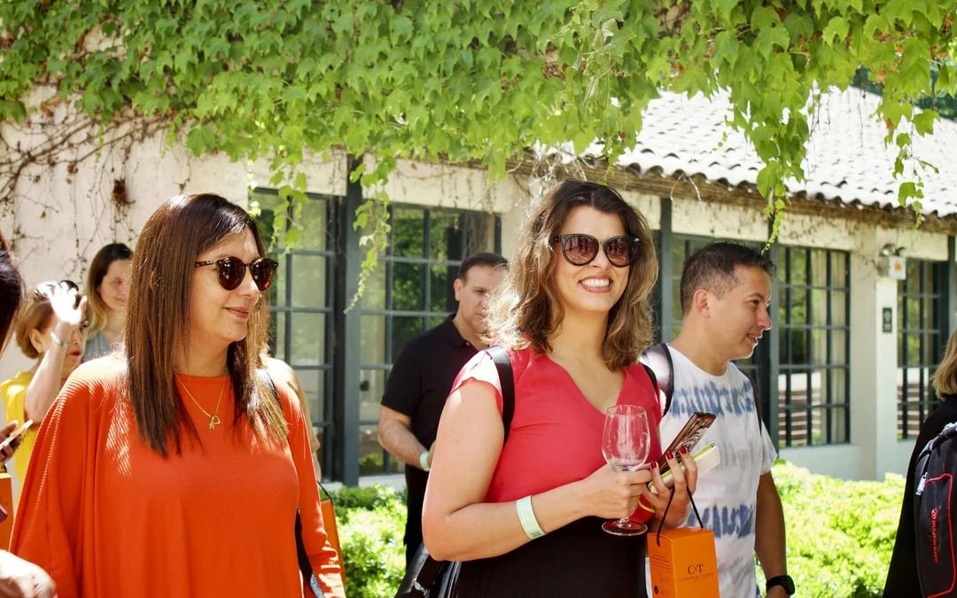 Marqués de Casa Concha: Wine Tasting at Concha y Toro Image 4