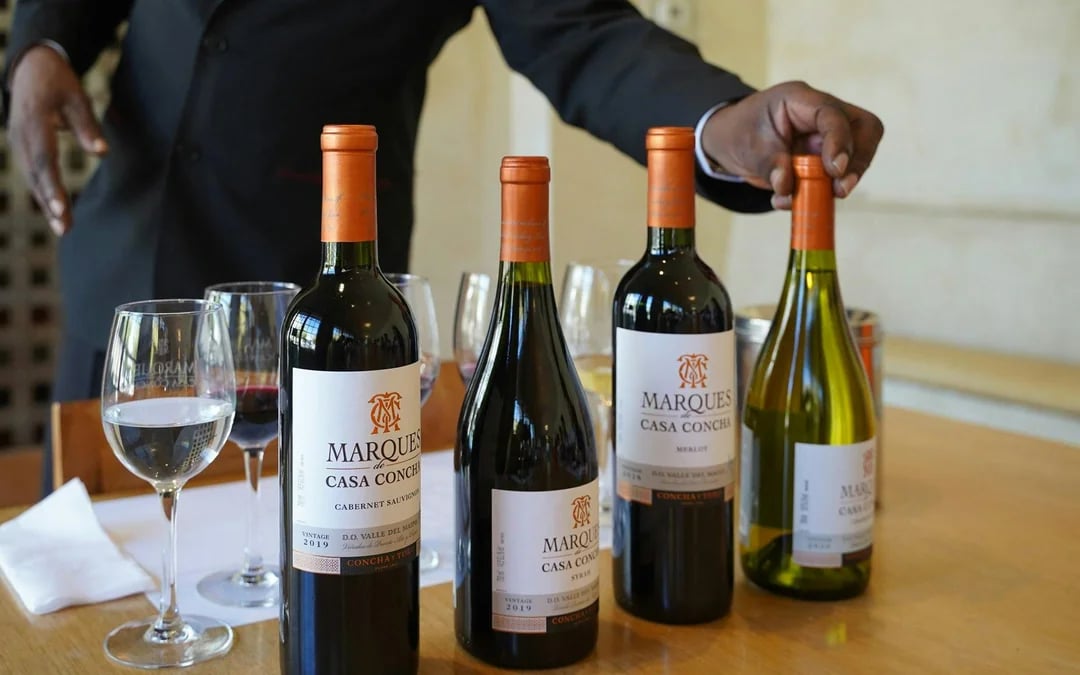 Marqués de Casa Concha: Wine Tasting at Concha y Toro Image 9