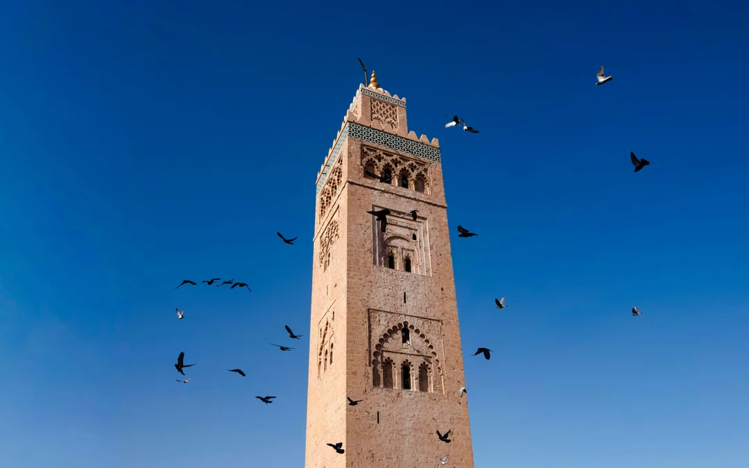Marrakech: El Badi Palace Entry Ticket with Souvenir Postcard Image 5