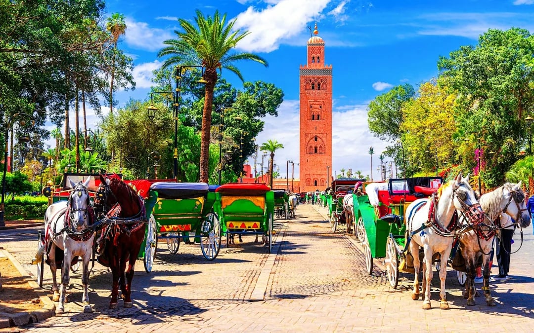 Marrakech Guided Walking Tour: Saadian Tombs, Bahia Palace and Medina Souks Image 4