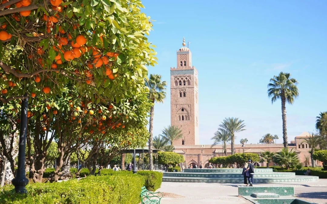 Marrakech Highlights: Bahia Palace, Saadian Tombs, Souks and Medina Guided Tour Image 9