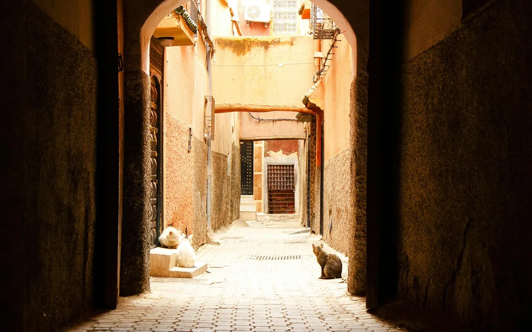 Marrakech Night Walking Tour Image 11
