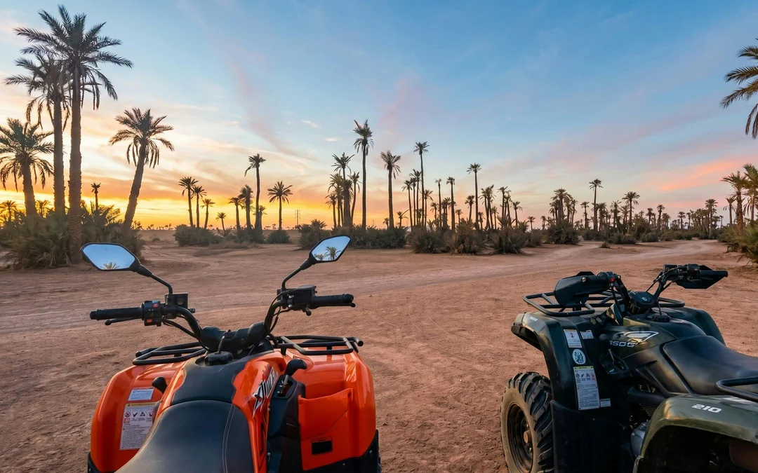 Marrakech Palm Grove 2-Hour Quad Biking Experience with Transfers Image 4