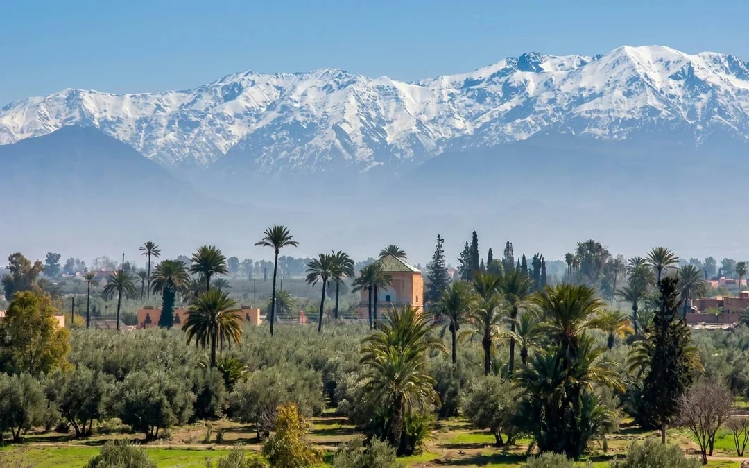 Marrakech Palm Grove 2-Hour Quad Biking Experience with Transfers Image 5
