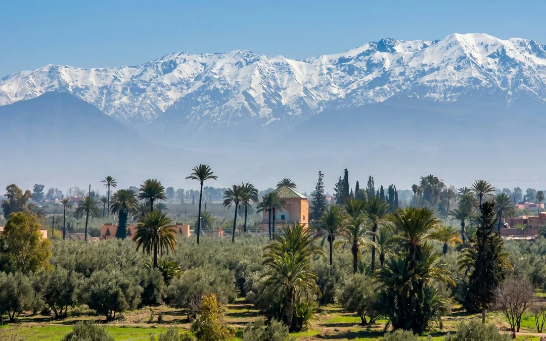Marrakech Palm Grove 2-Hour Quad Biking Experience with Transfers Image 5