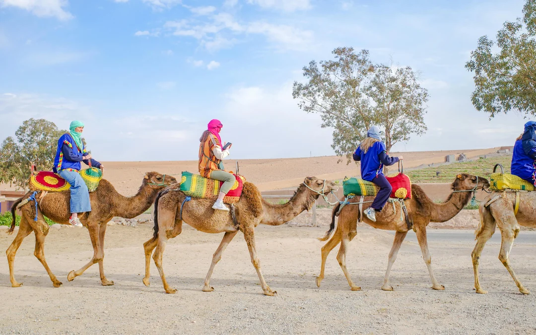Marrakech: Sunrise Hot Air Balloon Flight, Berber Breakfast & Certificate with Quad biking or camel ride Image 9
