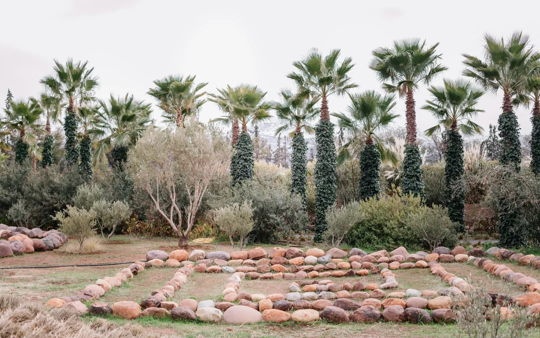 Marrakesh: ANIMA Garden Tickets Image 6