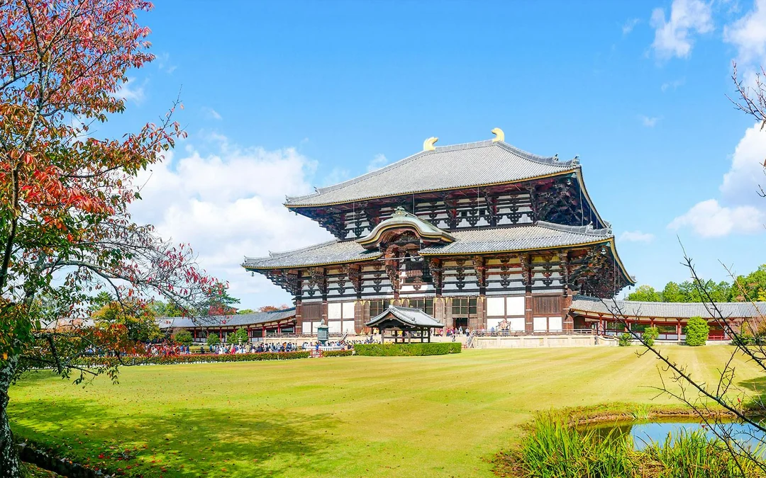 Matcha Tour: Nara Park, Uji, and Hot Spring from Osaka Image 3