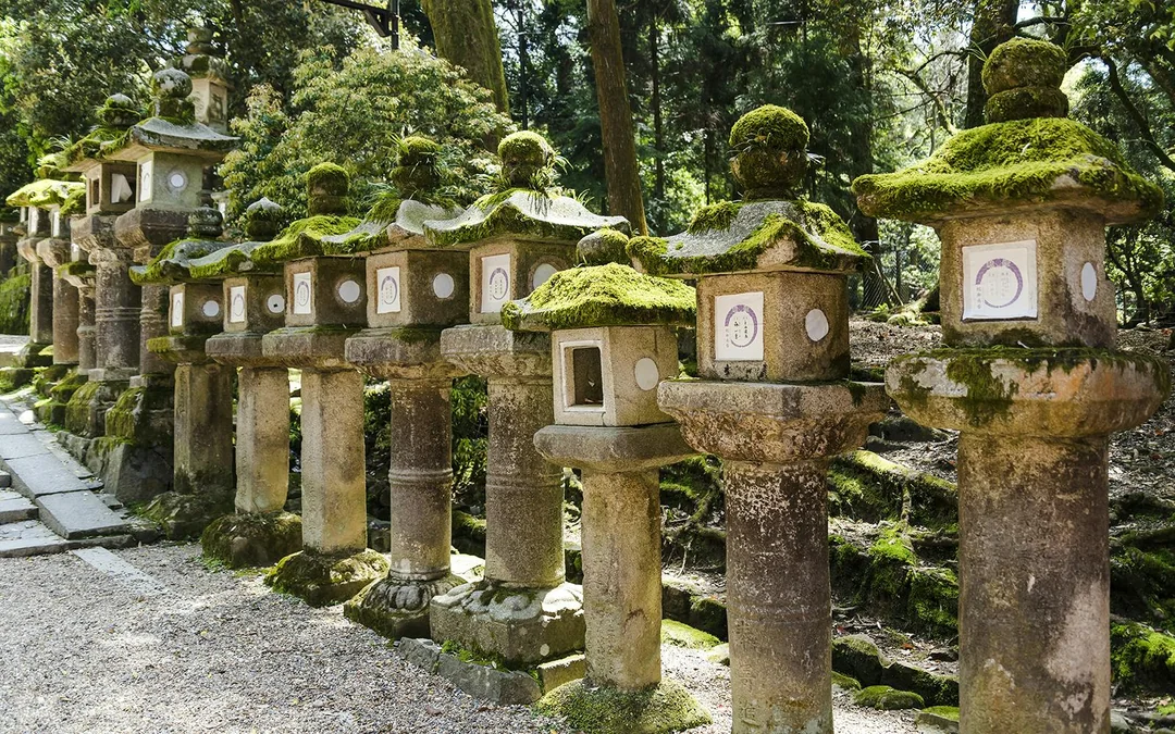 Matcha Tour: Nara Park, Uji, and Hot Spring from Osaka Image 5