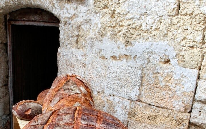 Matera and Altamura Small Group Day Trip from Bari with Guided Walking Tours, Cave House and Cathedral Entry Image 6