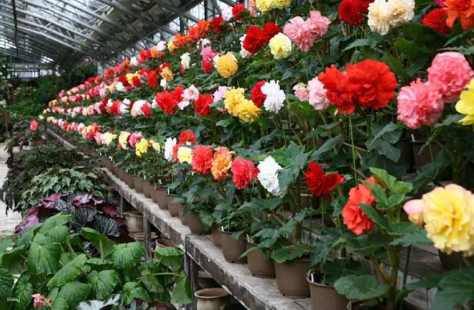 Matsue Flower and Bird Garden Tickets (Shimane, Japan)