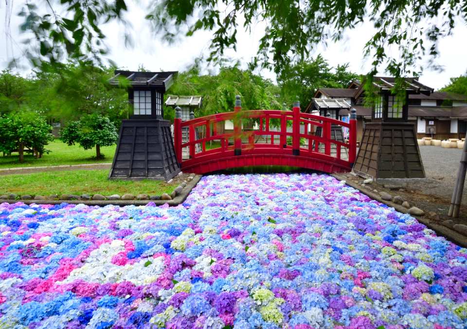 Matsumae Clan Mansion|Admission Ticket|Matsumae, Hokkaido