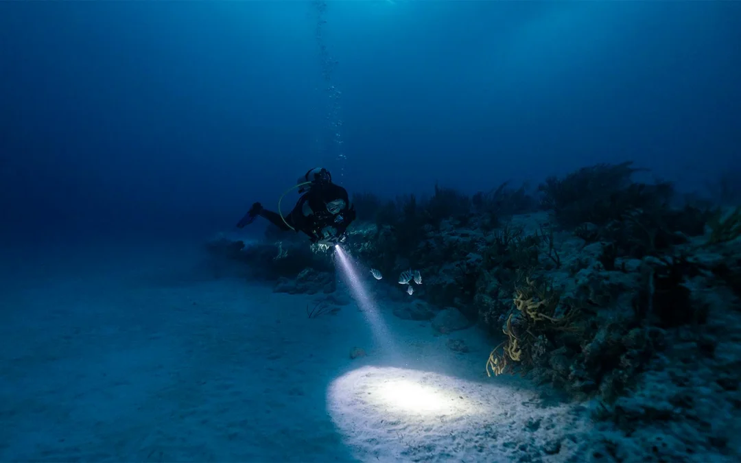 Maui Night Dive Tours Image 3