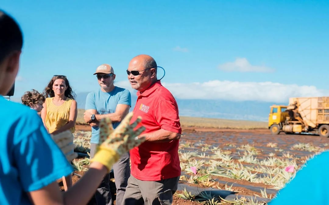 Maui Pineapple Tour: Guided Farm Tour Image 3