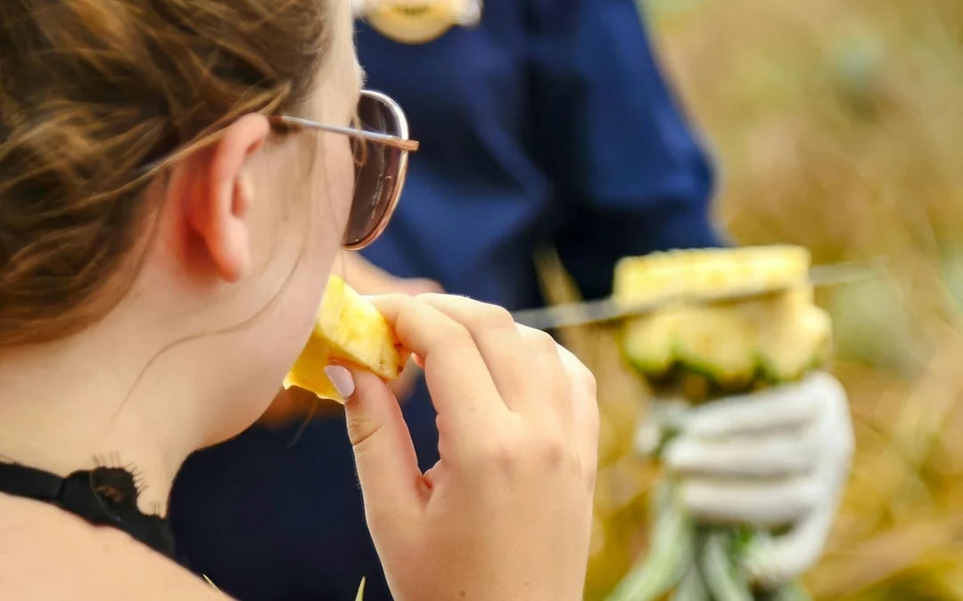 Maui Pineapple Tour: Guided Farm Tour Image 6