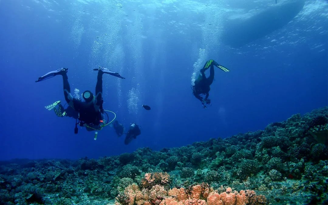 Maui Scuba Diving Lessons for Beginners Image 3