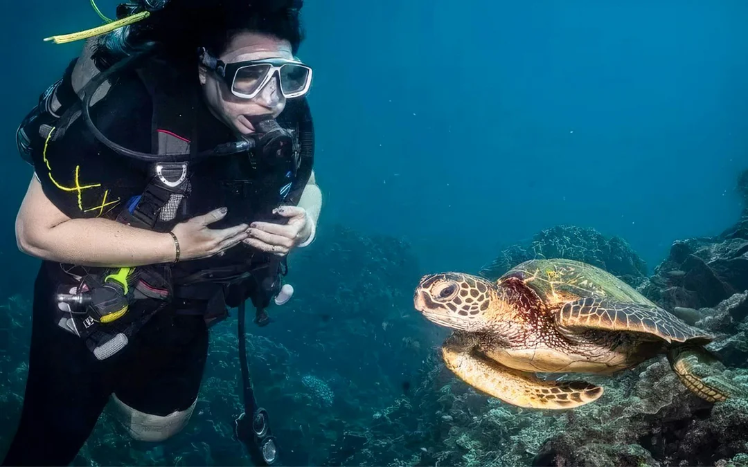 Maui Turtle and Shark Dive Tours Image 4
