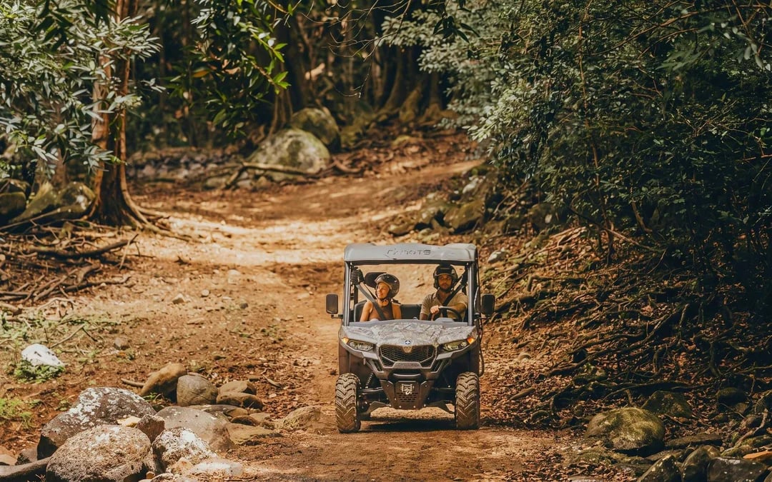 Mauritius: Bel Ombre Nature Reserve Buggy Tour Image 1