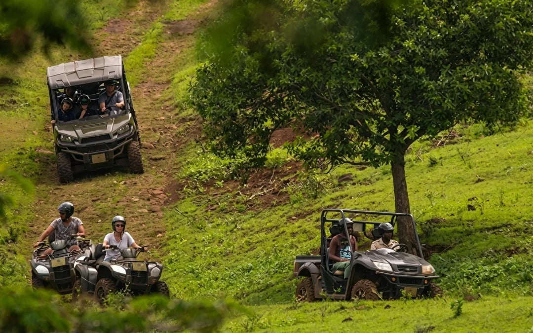 Mauritius: Bel Ombre Nature Reserve Buggy Tour Image 5