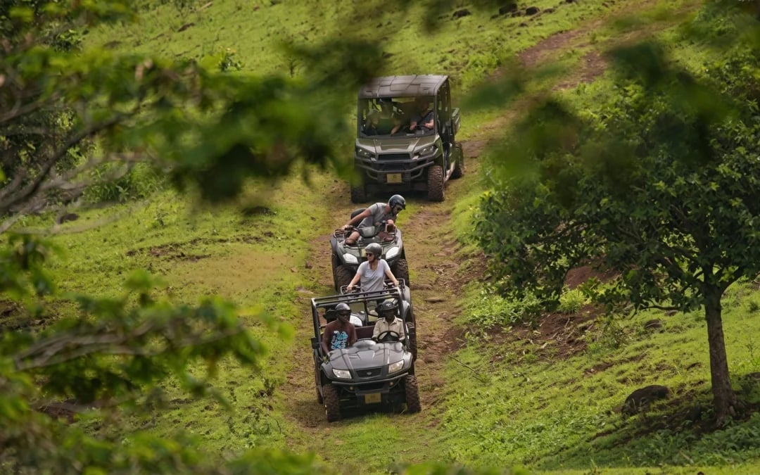 Mauritius: Bel Ombre Nature Reserve Quad Bike Tour Image 3