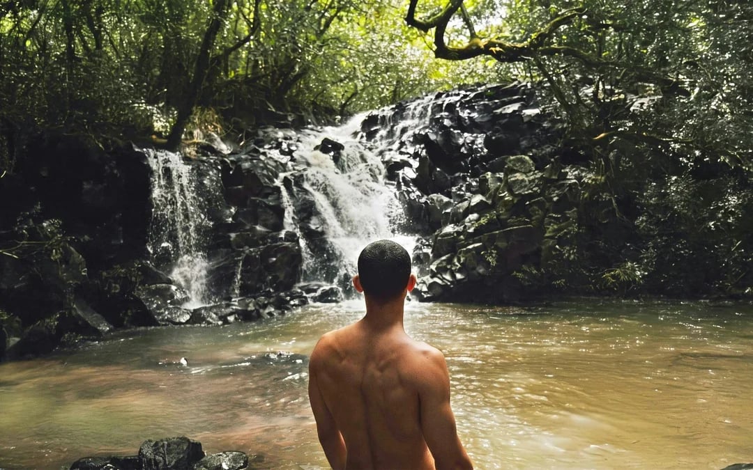 Mauritius: Bel Ombre Nature Reserve Walking Trail Image 3