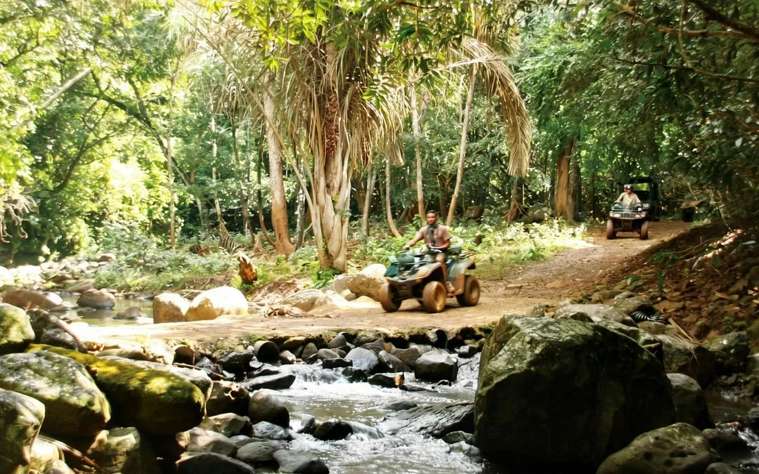Mauritius: Bel Ombre Nature Reserve Walking Trail Image 6