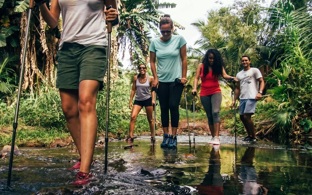 Mauritius: Bel Ombre Nature Reserve Wilderness Tour Image 3