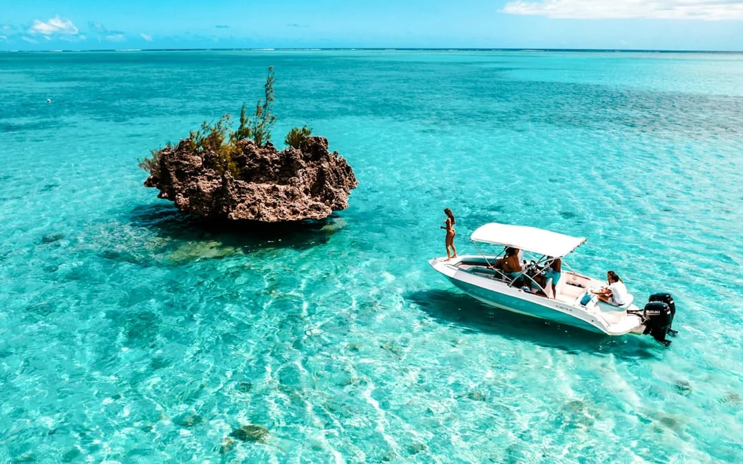 Mauritius Dolphin Encounters Cruise to Île aux Bénitiers and Crystal Rock with Lunch and Transfers Image 2