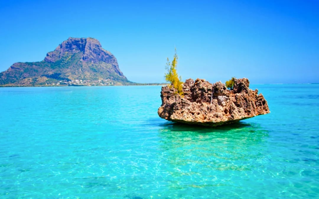 Mauritius Dolphin Encounters Cruise to Île aux Bénitiers and Crystal Rock with Lunch and Transfers Image 3