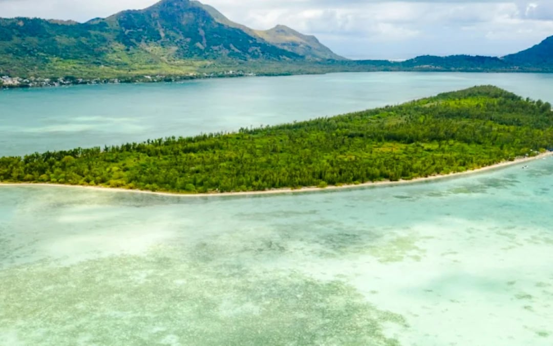 Mauritius Dolphin Encounters Cruise to Île aux Bénitiers and Crystal Rock with Lunch and Transfers Image 4