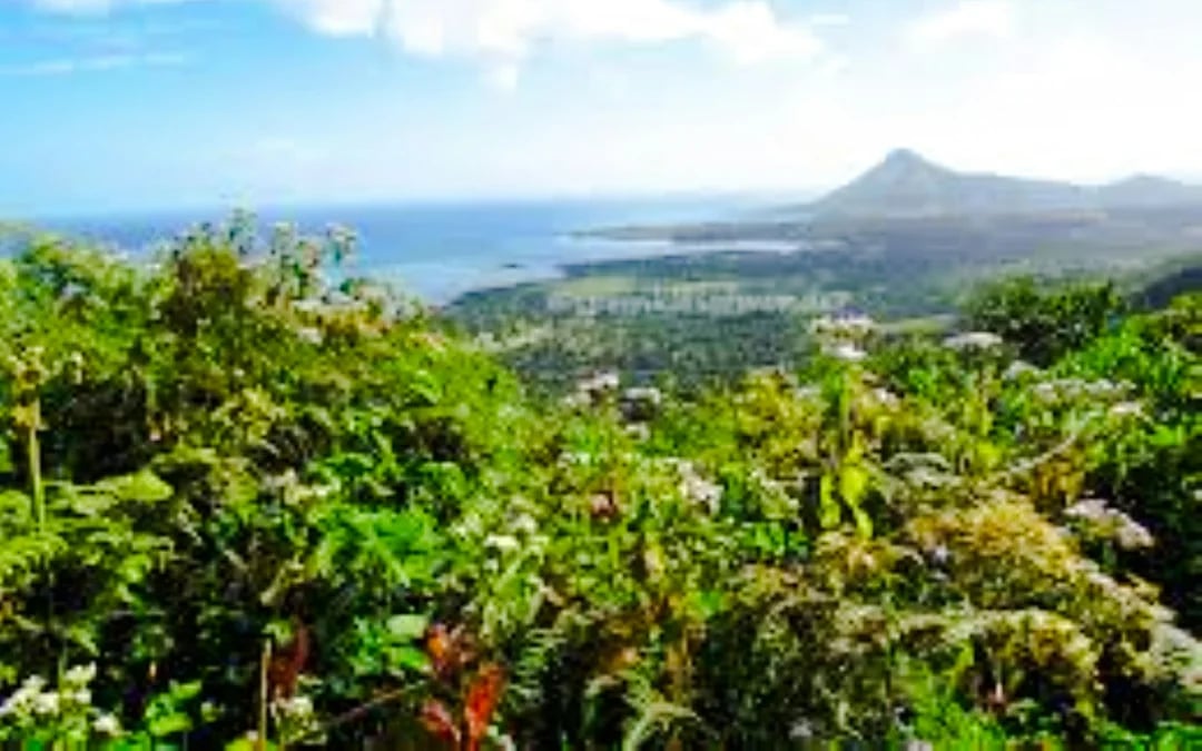 Mauritius Dolphin Watching by Speedboat & South-West Tour with Lunch and Hotel Transfers Image 3