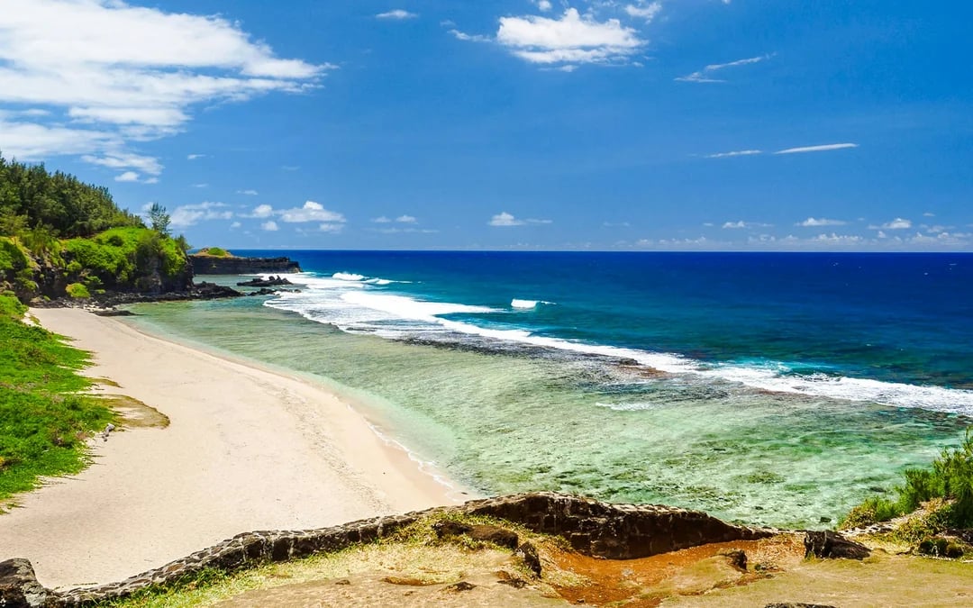 Mauritius Private Nature Tour with World of Seashells Museum and Lunch Image 11