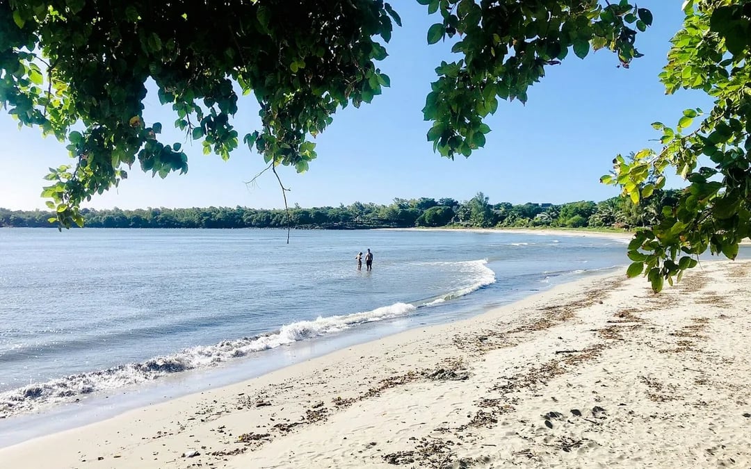 Mauritius Private Nature Tour with World of Seashells Museum and Lunch Image 6